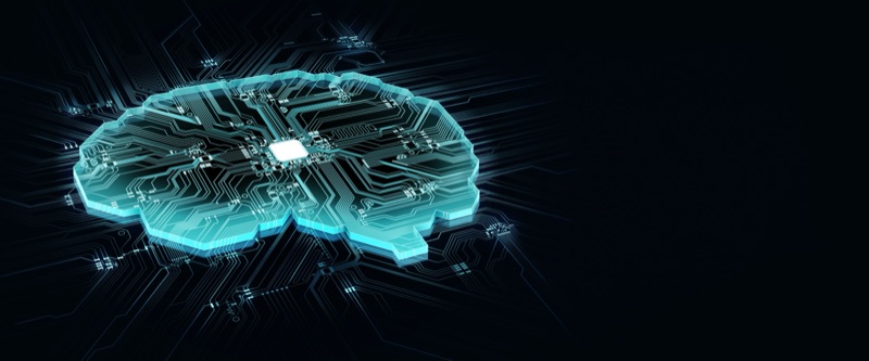 Brain Capital: An Emerging Investment Opportunity