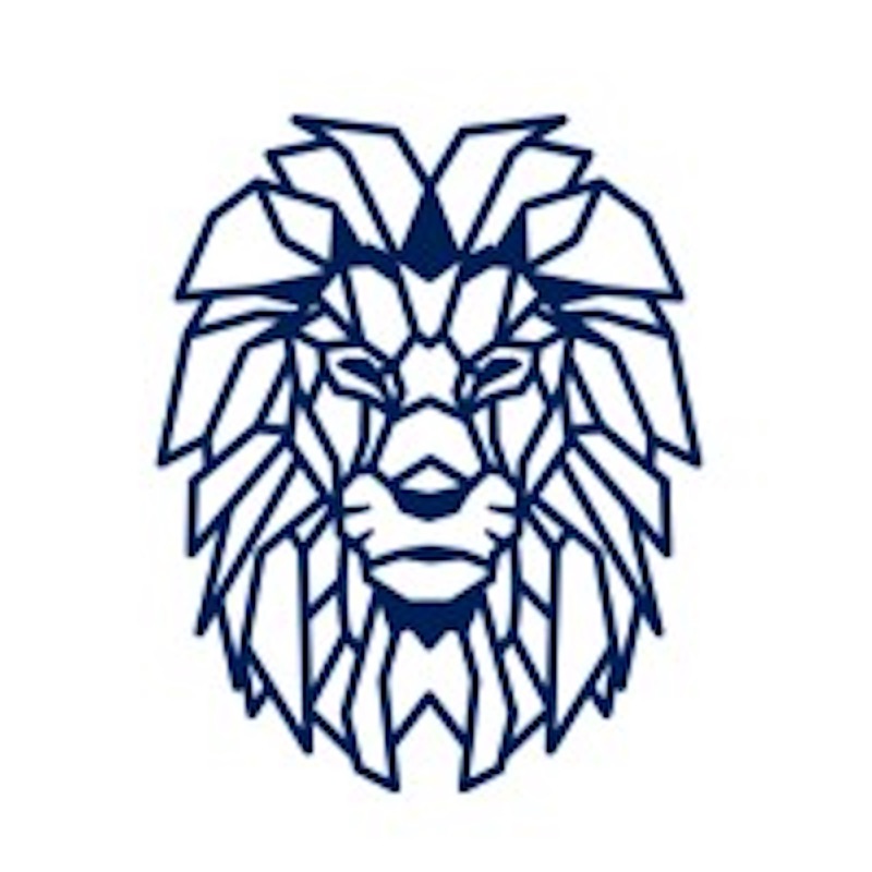 Lioncrest Ventures: $100 Million Multi-Strategy Platform Debuted